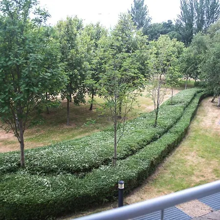 Aikens Hill 1dt In *